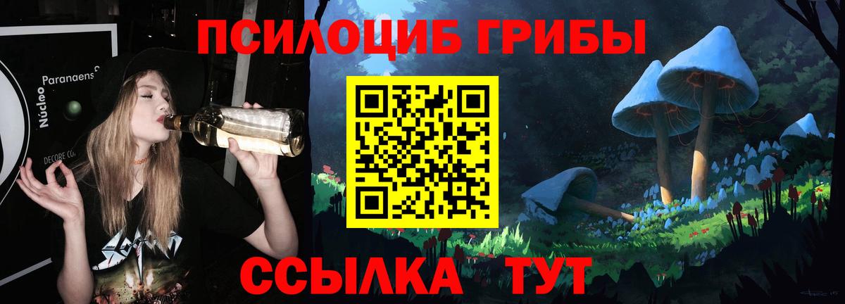 Псилоцибиновые грибы MAGIC MUSHROOMS  Вход с VPN  Партизанск 